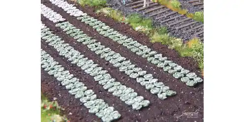 Juweela 28226 Green Cabbage Plants (220 pcs) Nouveauté