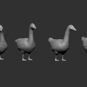 Quantité Limitée Firma49 Z013-48 Geese