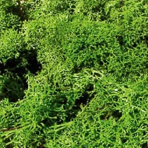 Affaire À Saisir Heki 3230 Mech jasnozielony 250 g