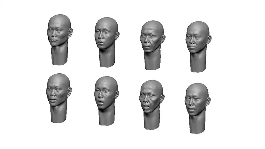 Marque Firma49 F041-35 Asian Heads
